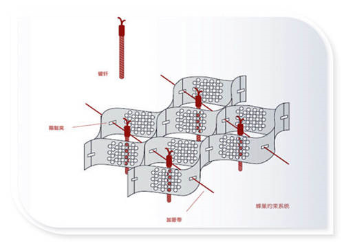 优惠的蜂巢格室实体厂家