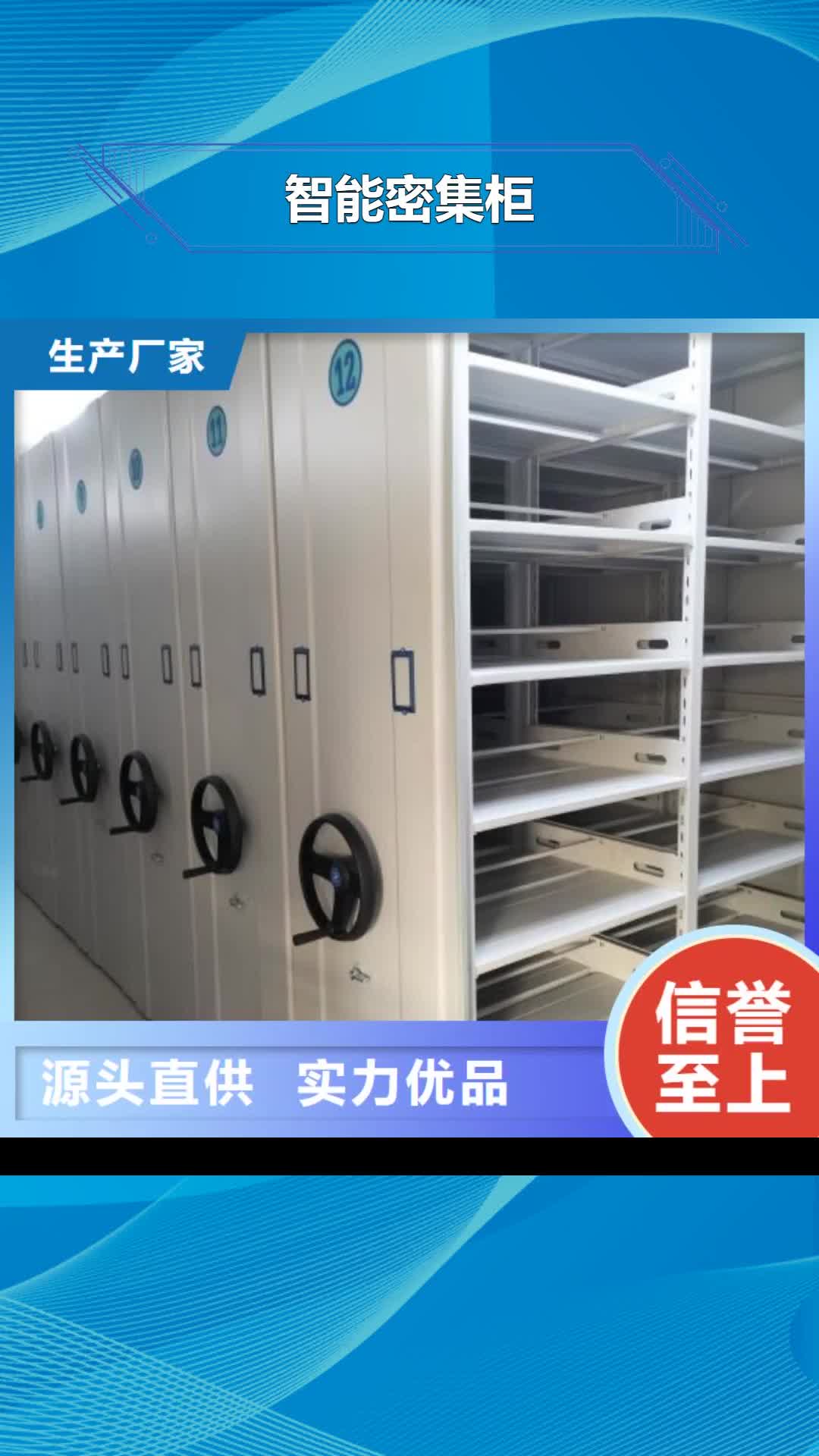 【辽宁 智能密集柜_密集架产品细节】