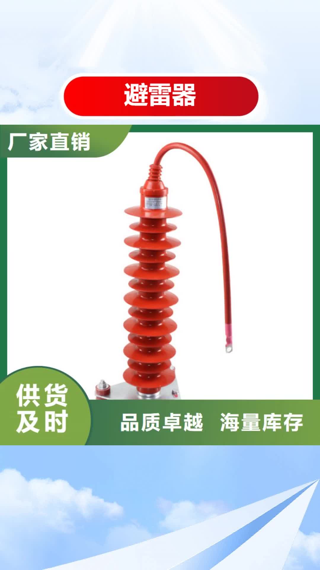 铜仁【避雷器】-氧化锌避雷器多种场景适用
