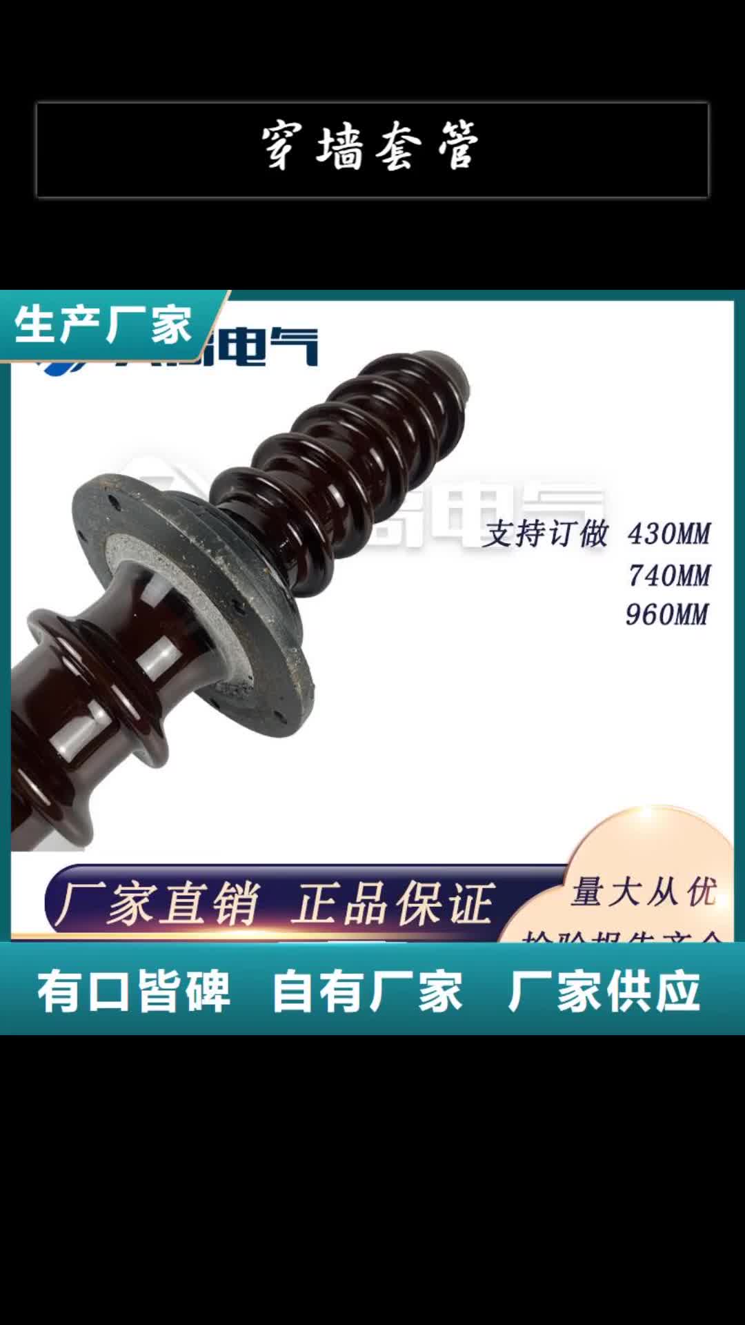 海南穿墙套管真空断路器源头厂家来图定制