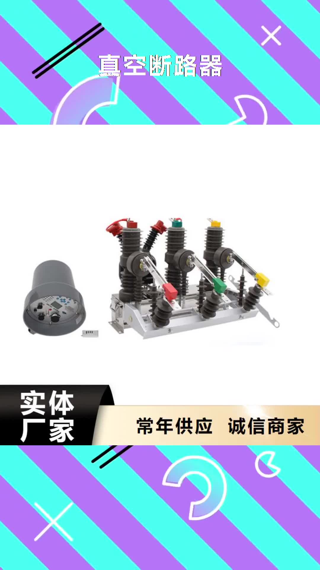 江门真空断路器 【绝缘子】专注产品质量与服务