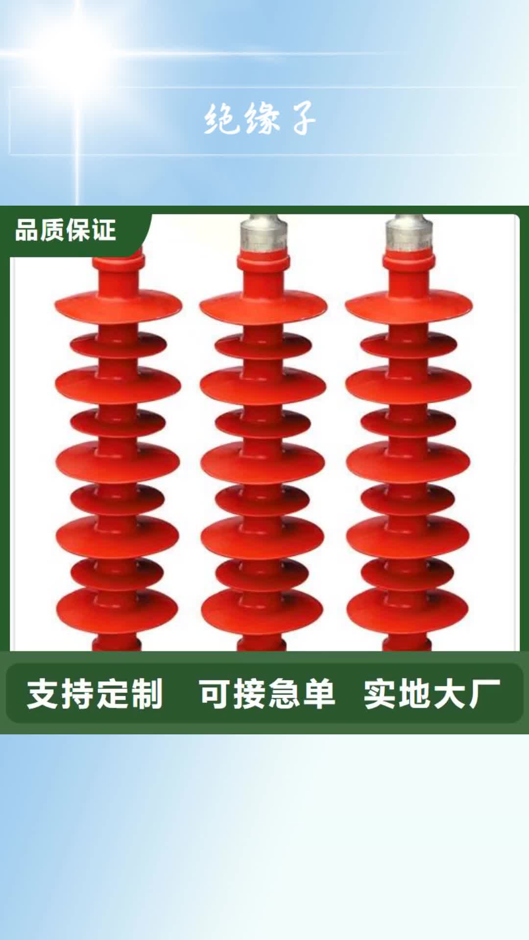 淄博绝缘子_【固定金具】实体诚信厂家